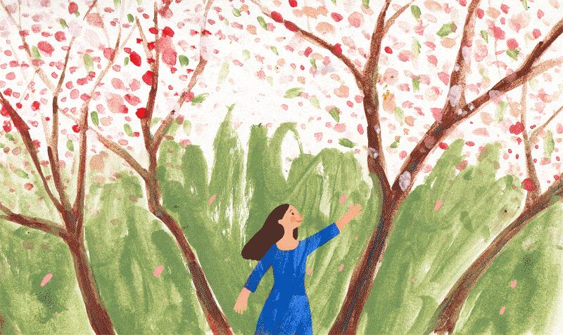 800_477gif 动态图 动图