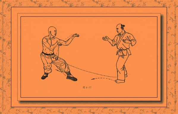 12招传统武术动态教学!