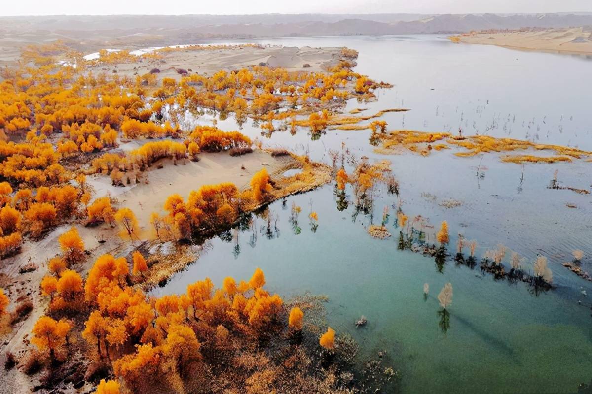 金色世界尉犁罗布湖