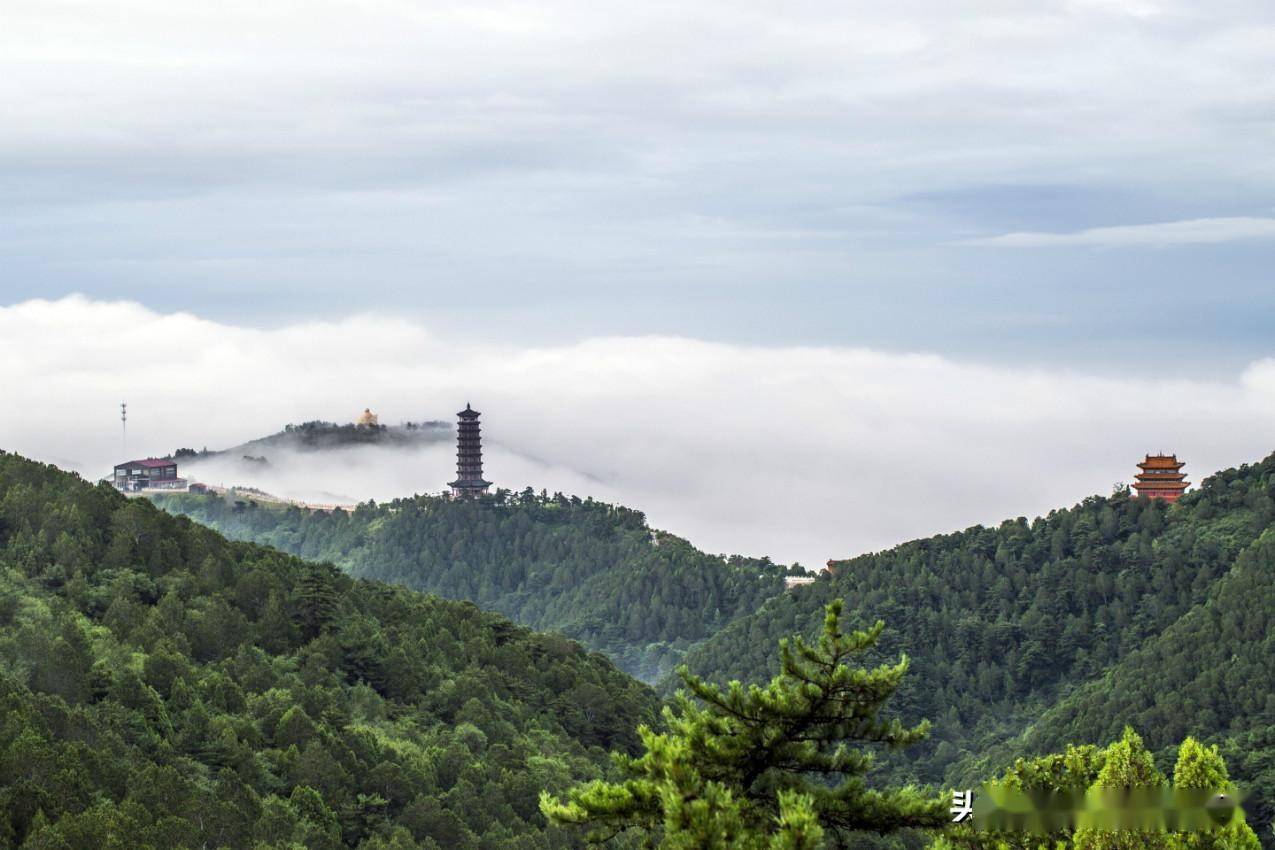 鹿泉南山森林公园图片