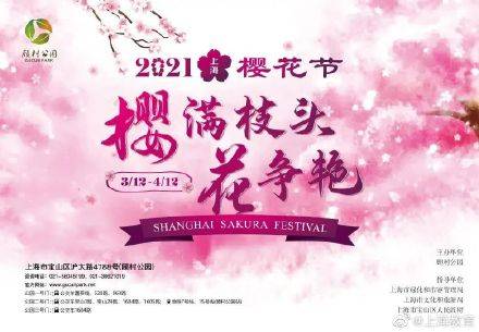 2021上海樱花节来啦！春天到了，去赏樱吧～
