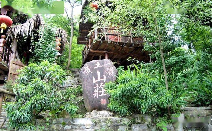 一口春笋咬住春光黄土岭山庄春笋新鲜上市冲呀