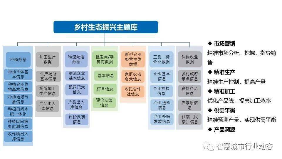 乡村振兴大数据平台架构方案(ppt)_农村