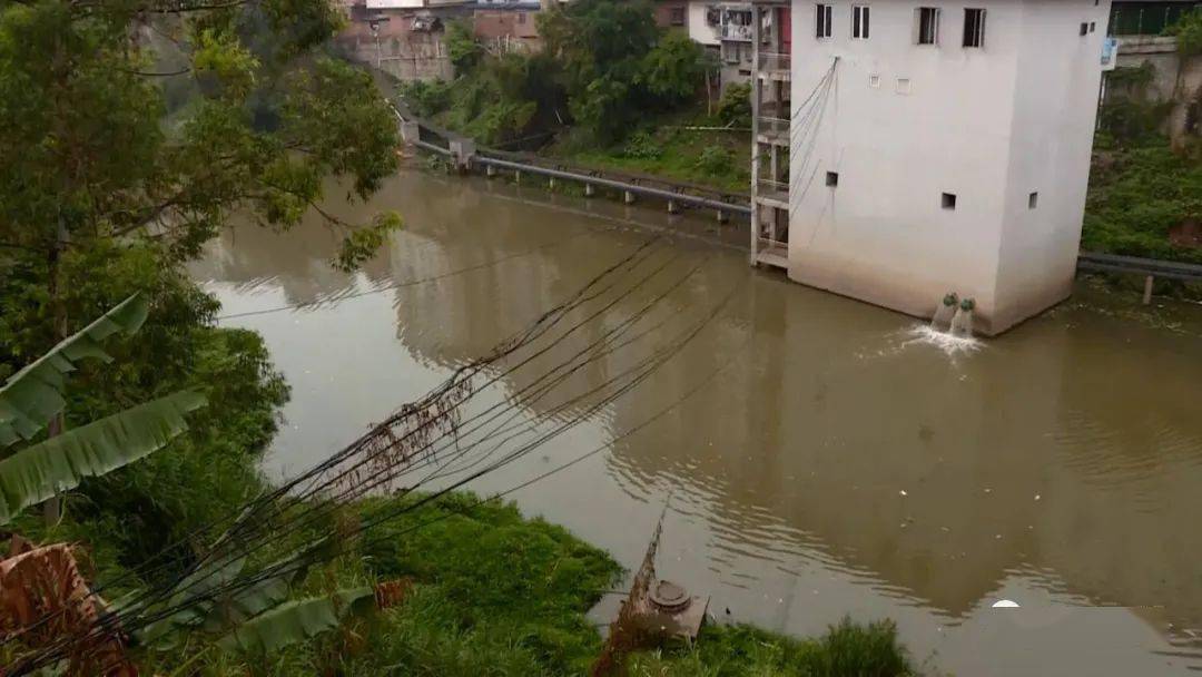 悲痛南宁一女子从龟背桥上跳下救起时已无生命迹象