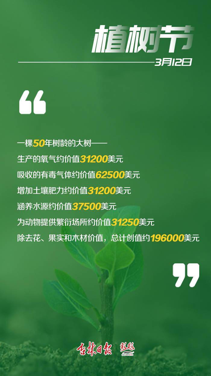 植树节:这60个数据,带你了解一棵树的价值_张舒