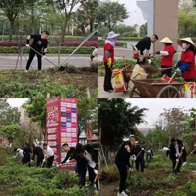 拥抱绿意种下希望华美立家各项目开展种植新生绿植维护环境美化活动