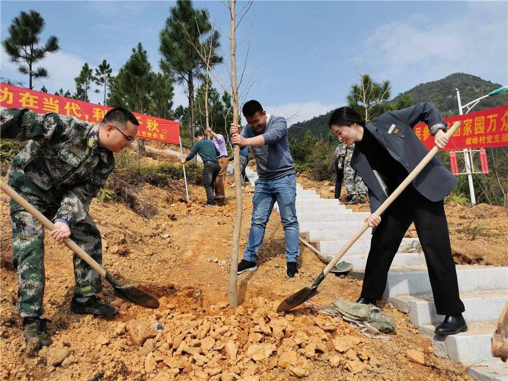 山坡路旁南安姐妹们不负春光挥锹铲土植树造林践行绿色发展理念