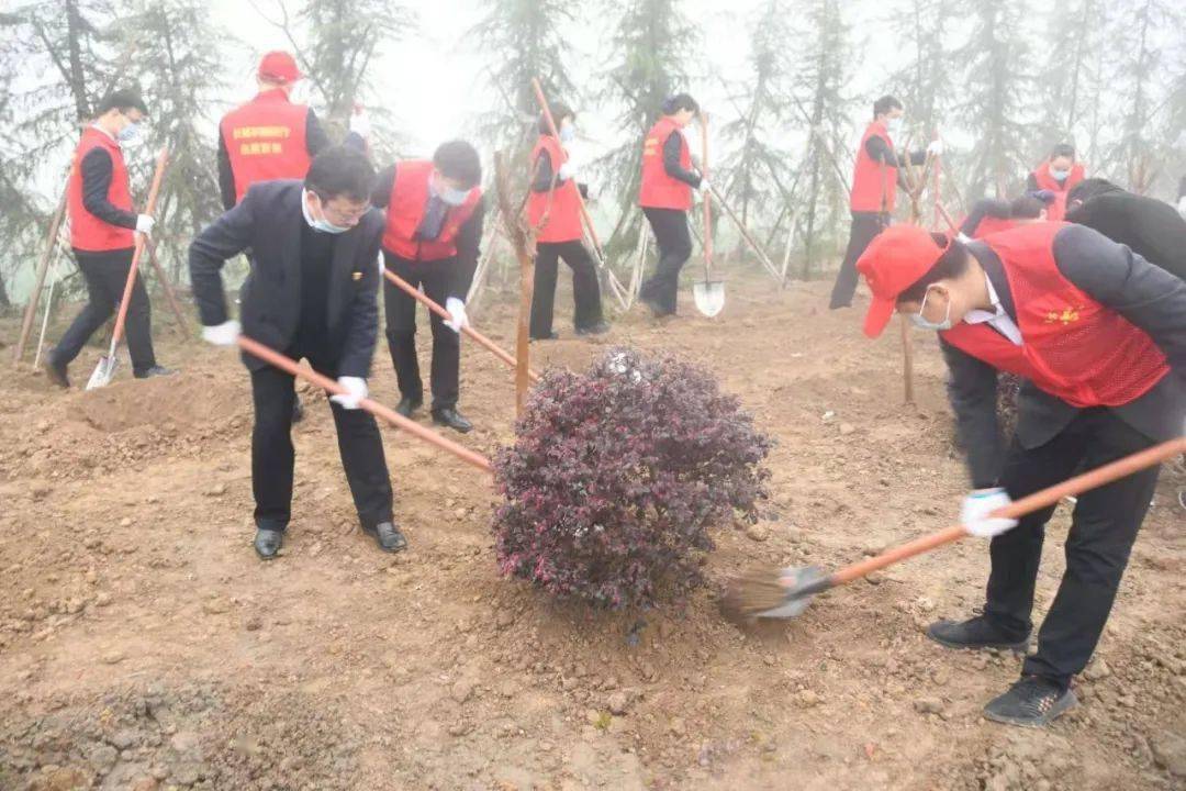 长葛有多少人口_今天,长葛大街上这1000多人才是长葛人最爱的 情人