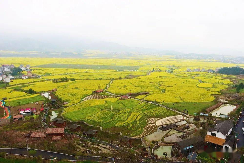 萍鄉市第八屆鄉村文化旅遊節暨蓮花縣第十一屆油菜花節開幕邀您赴一場