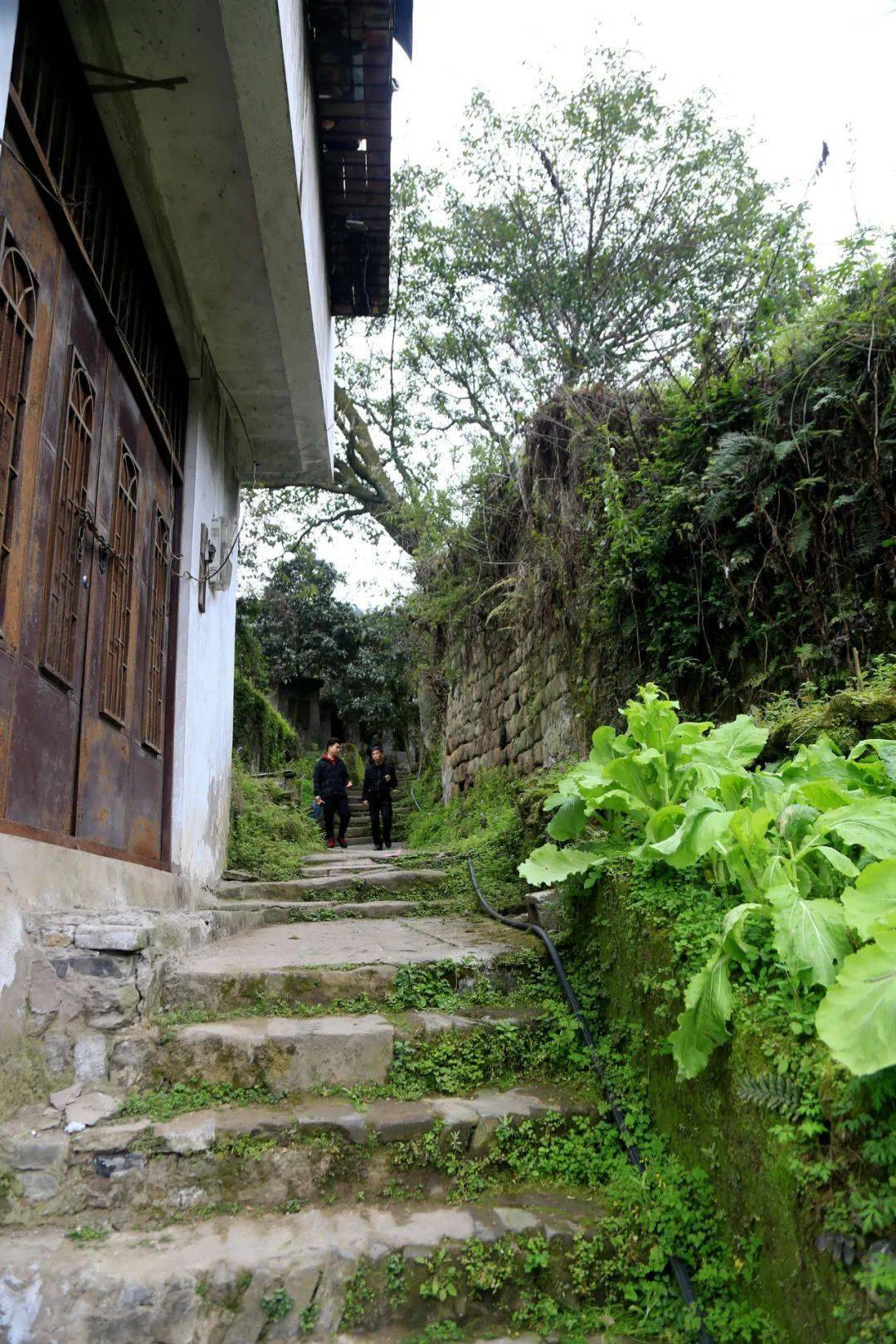 视频云阳这个地方有几十处古迹遗址