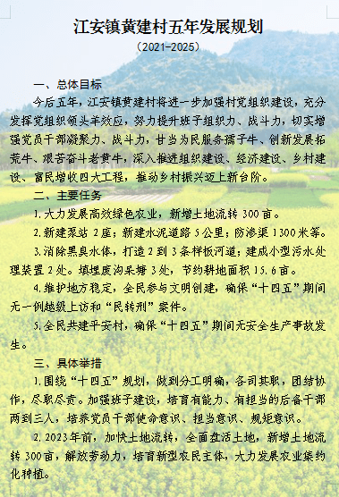 晒蓝图亮承诺丨江安镇村社区五年发展规划逐个晒中片