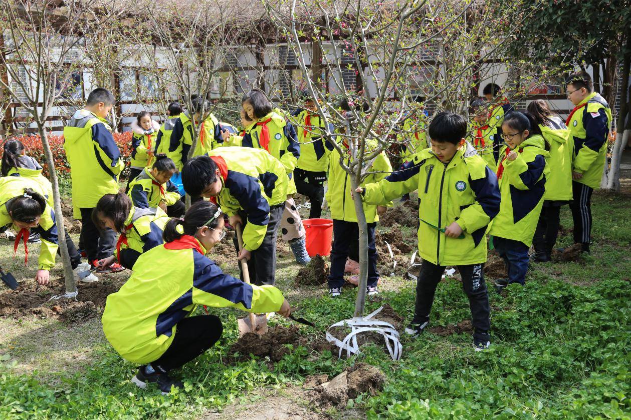 安徽合肥植樹節種下美好心願