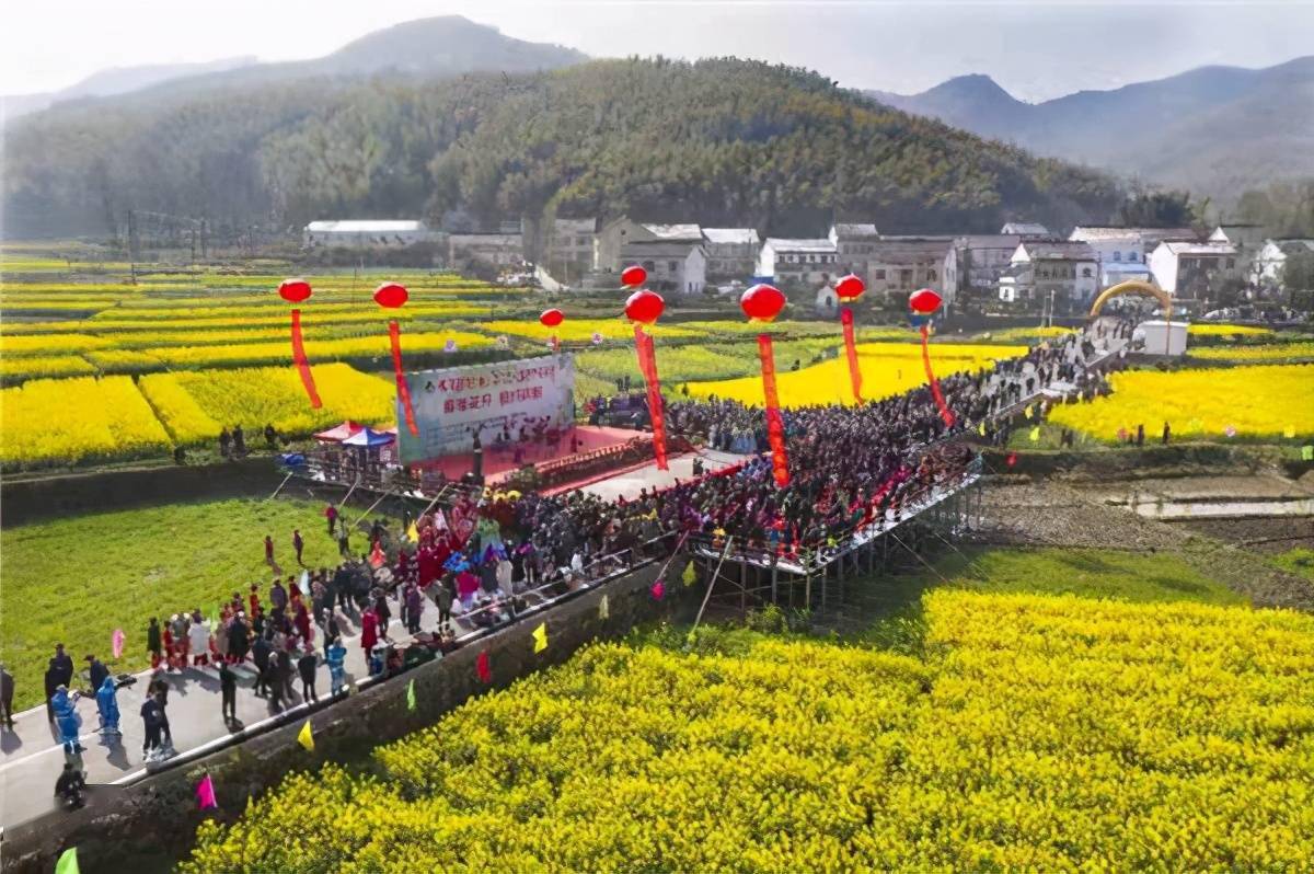 铜陵枞阳县2021年度油菜花文化旅游节启动