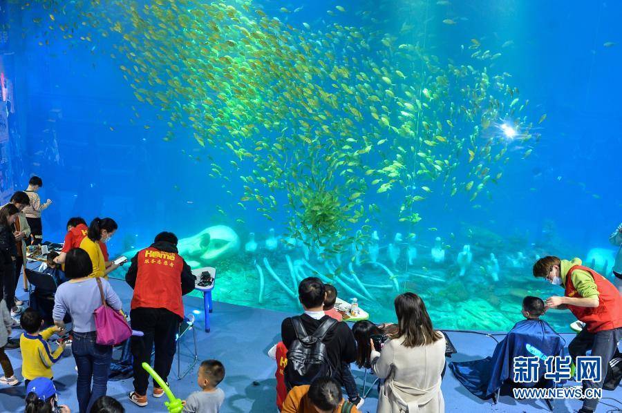 8个月宝宝适合去海洋馆么 a816d0e363ea4db6b44c0f8e98290697.jpeg