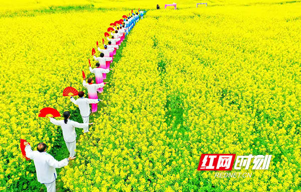 倒计时！衡阳县油菜花节3月16日启幕