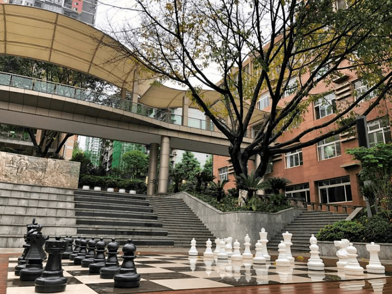 重庆育才中学三名学子入选国际象棋国家集训队