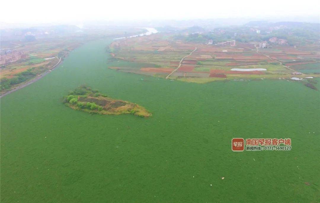 南宁新坡湖事件图片