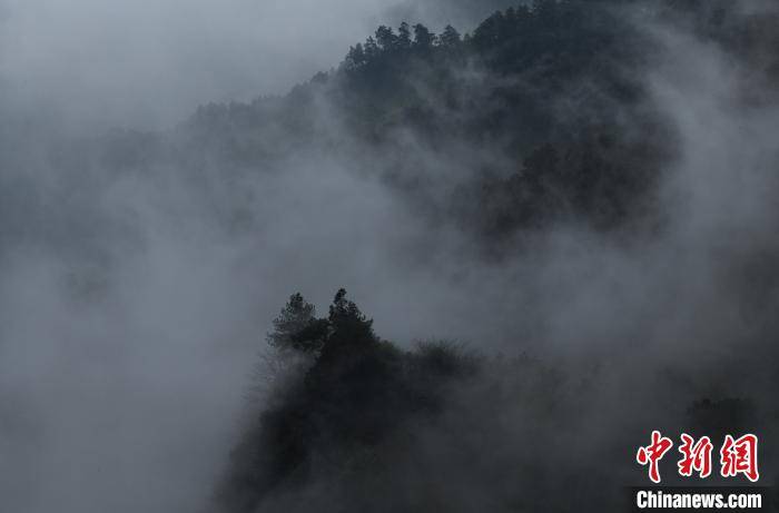 黑山谷下雨了，云雾缭绕好似一幅水墨画