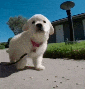 273_288gif 动态图 动图