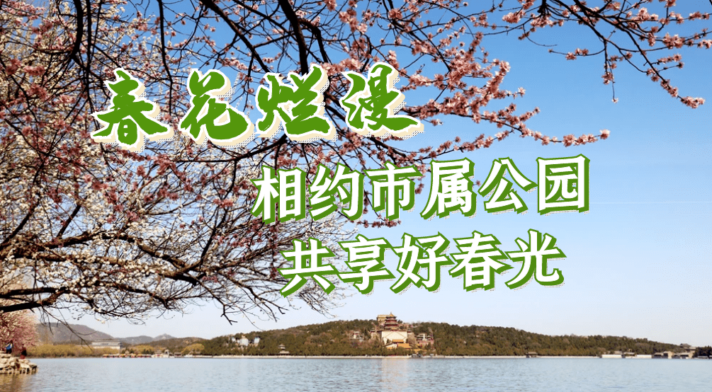 市属公园赏花季本周末开启,花期持续至5月末,可错峰游览_玉兰渐
