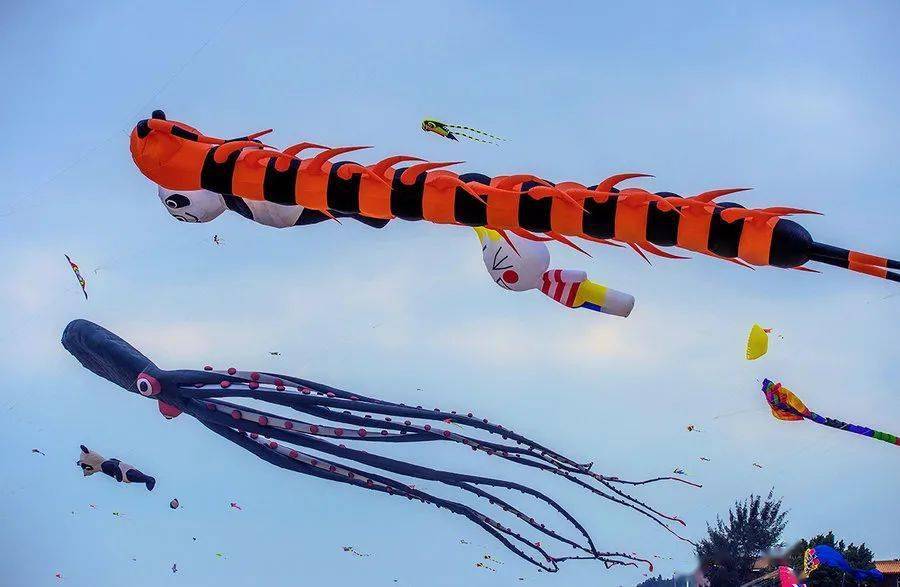 东风起放纸鸢600米长型风筝将亮相金沙滩啤酒城