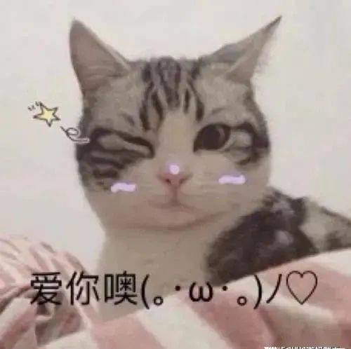 788a559aeb1949daa8dc045e0570834a.jpeg