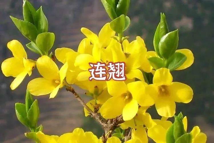 什么时候算是春天结束 e9f532f8a93944959785e1067ef5bc93.jpeg