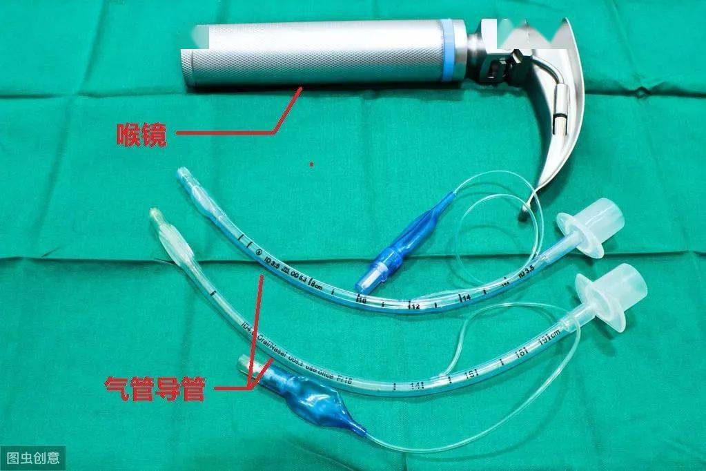 呼吸机要把气体打入肺部,那就需要借助一个气管插管导管