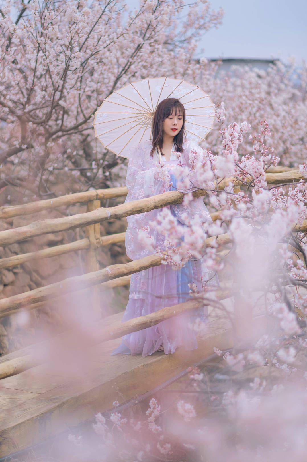 崂山这场汉服与春花的穿越之旅,你不想感受一下?