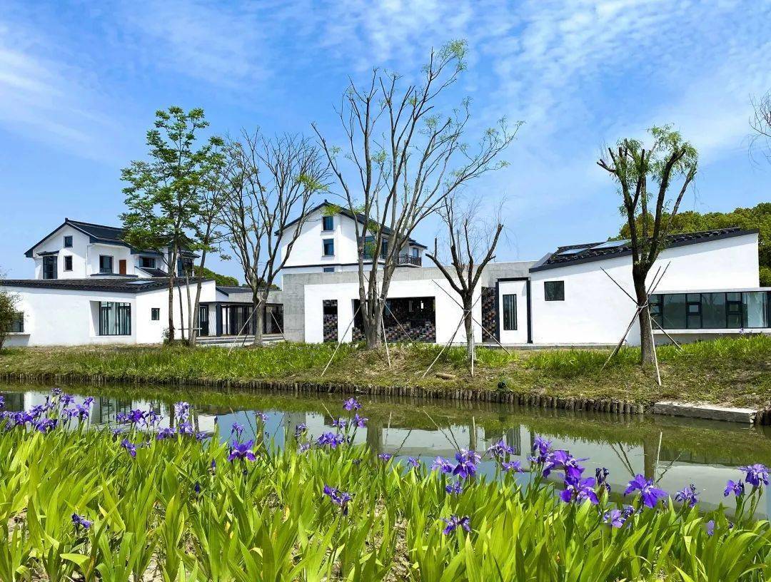 太仓 田园佳境地客从沪上来 文旅
