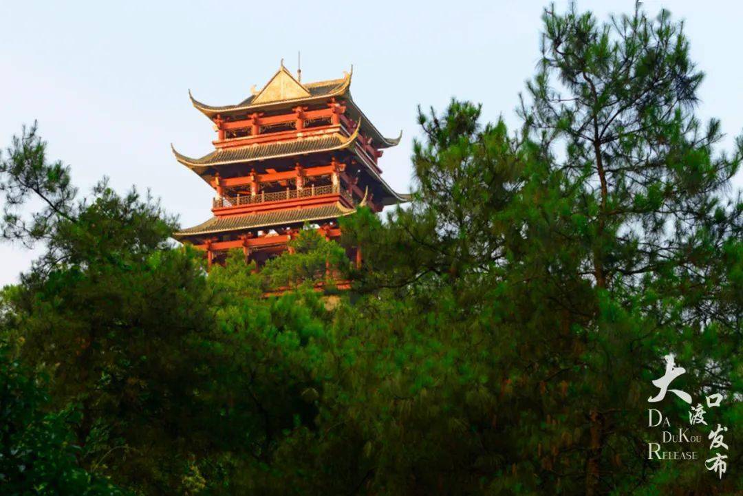 全年免费来大渡口森林公园让我们一起躺赢