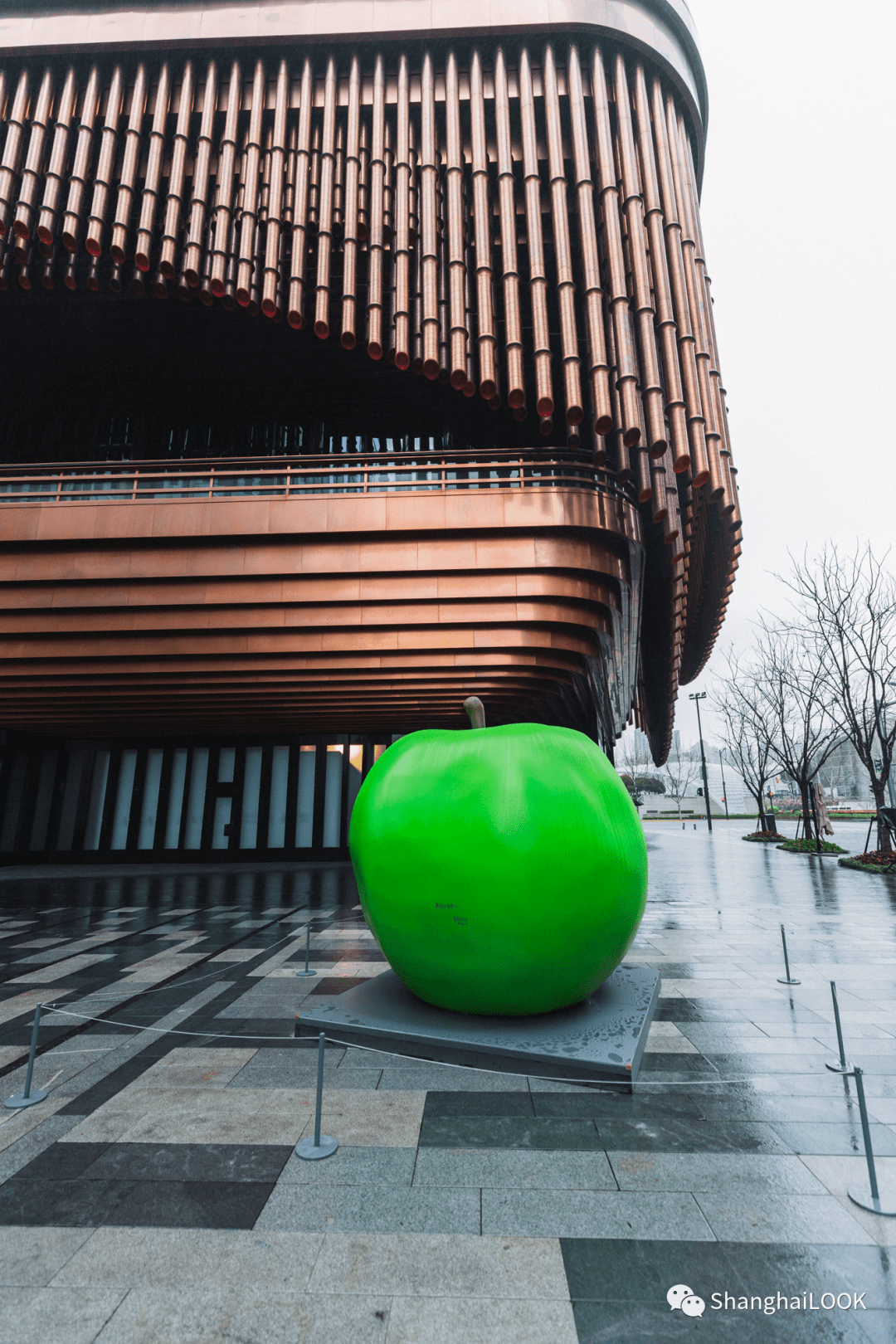 look安藤忠雄最大规模个展来了