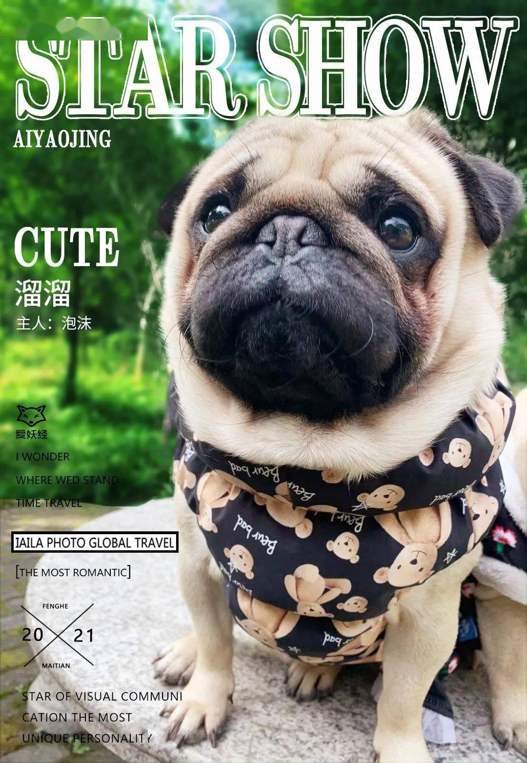 狗狗图鉴养一只登上时尚杂志封面的狗狗是种什么体验