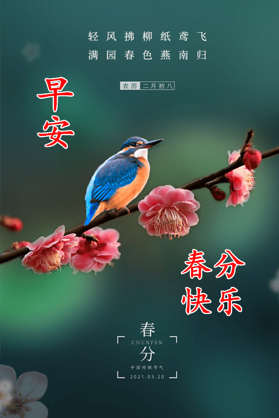 3月19日明日春分最漂亮早上好动态表情图片大全,早晨好动图美图大全