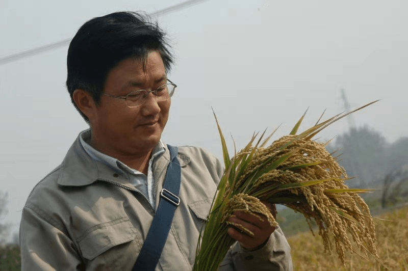 连云港市农科院院长徐大勇紧抓种子和耕地力保粮食安全