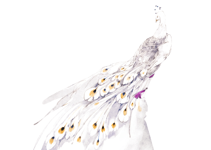 且听北京神奇的天坛益母草