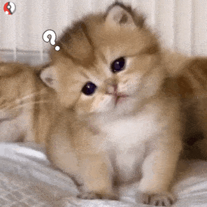 征集春天在哪里春天在你们的镜头里