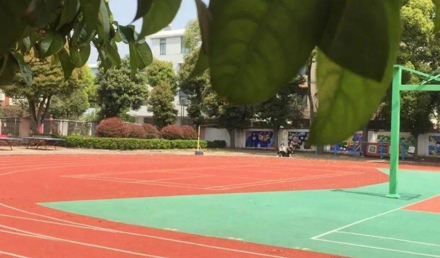 为全校师生带去一场生动有趣的活动,开进椒江区桔园小学,三秀生物科技