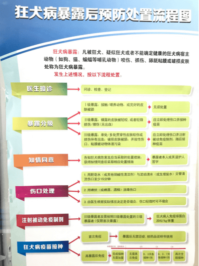 724小时犬伤门诊就在您身边