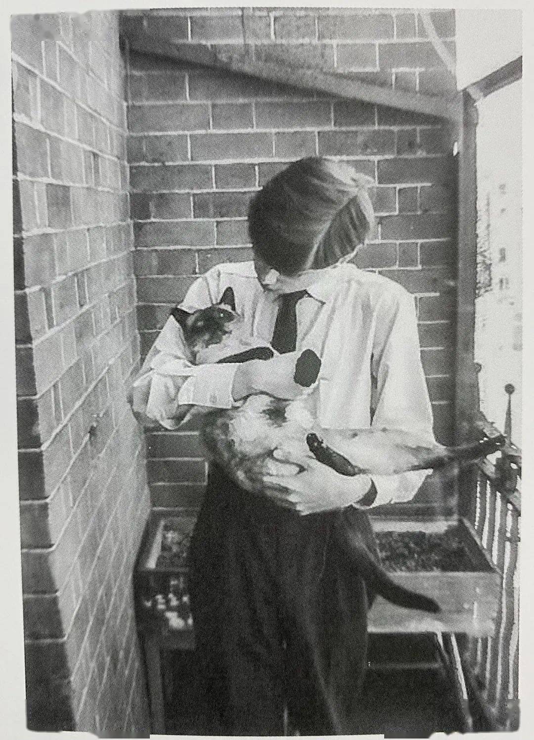 韦爵爷出自传了,足斤的瓜客官不吃吗?