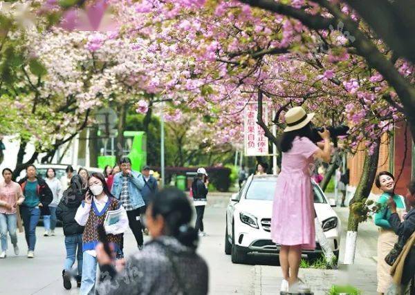 怎么在樱花校园里玩别人搭的跑酷_樱花校园模拟器(3)