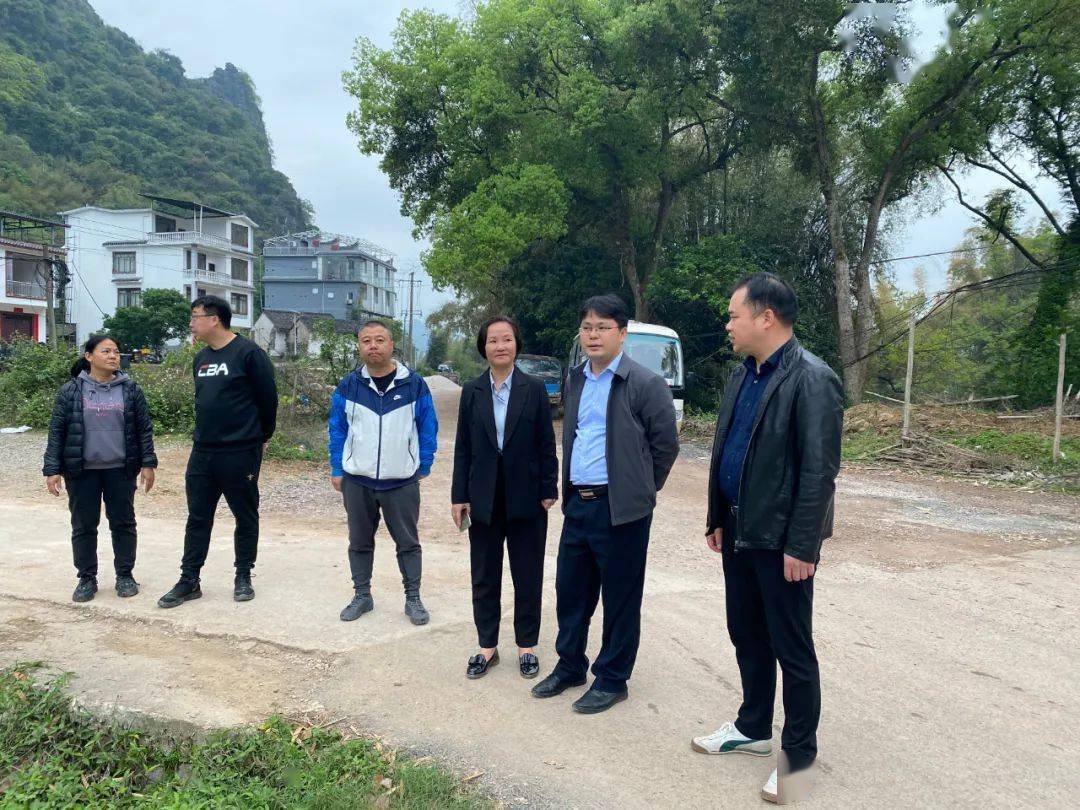 县领导到兴坪镇视察乡村风貌改造提升工作