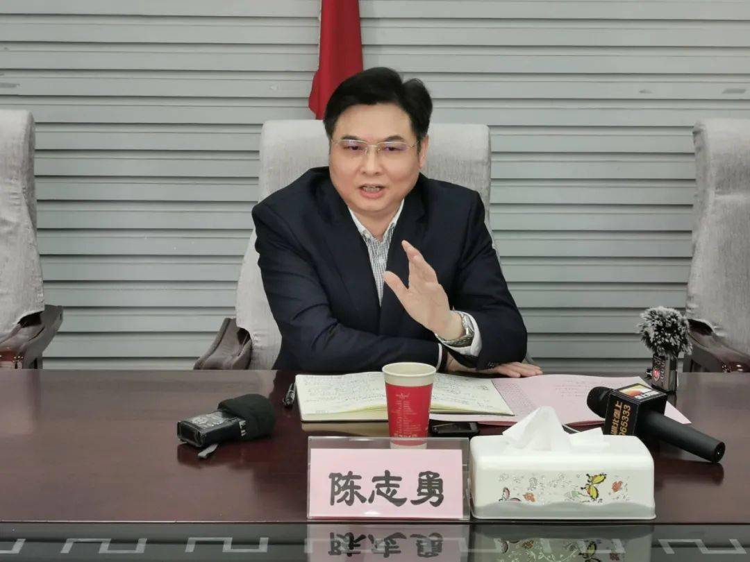 湖北省农业农村厅副厅长陈志勇出席签约仪式并讲话湖北省文化旅游投资