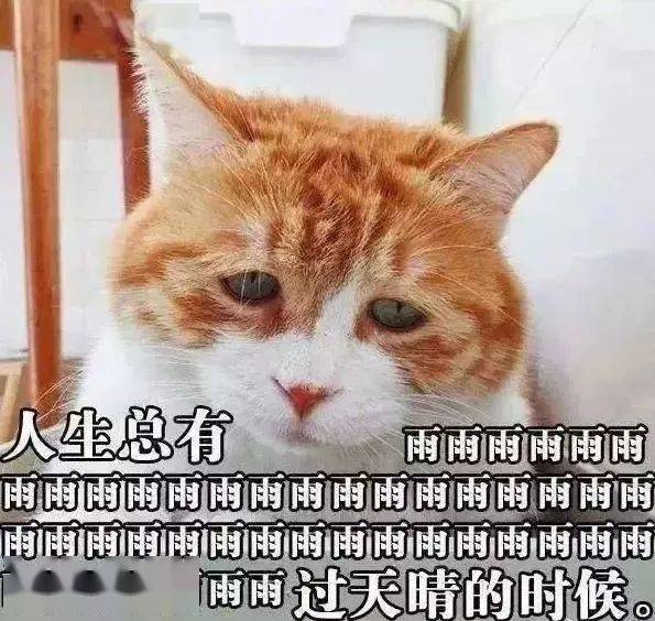 e8f992e3e074439cb3540d86a8767981.jpeg