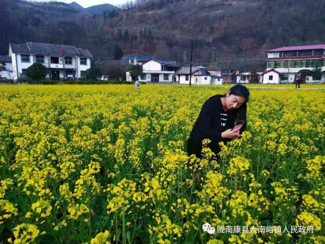 打卡春天的油菜花大南峪镇花庙村这个地方你去了吗