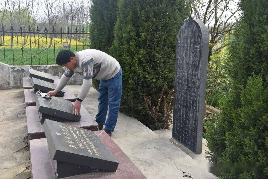 上蔡参天古柏见证阻击战