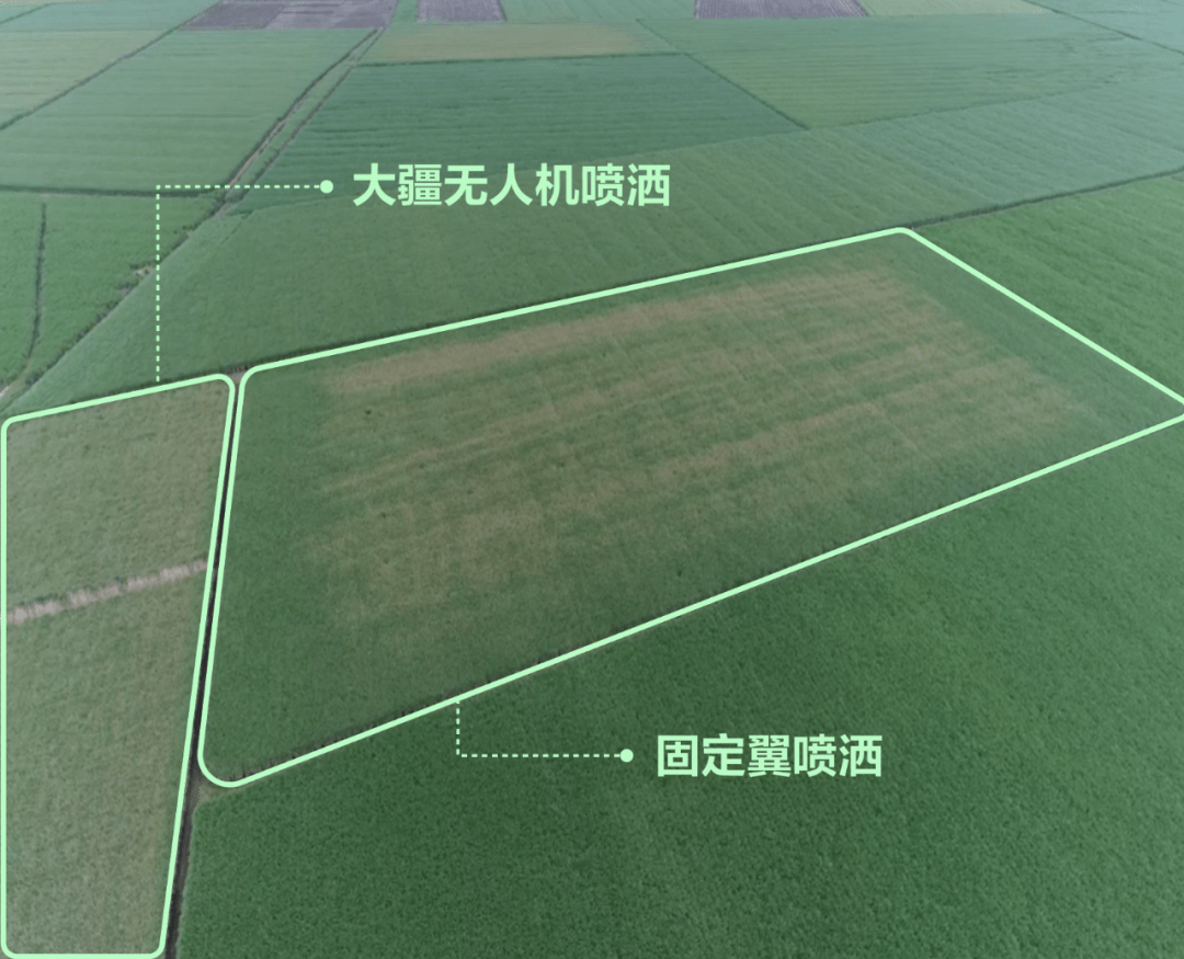 蒂姆|大疆农业无人机在非洲：精准守护甘蔗园，提升蔗农收入至少25%