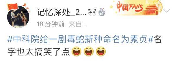 银环蛇|这种剧毒蛇，名叫素贞