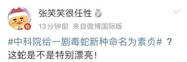 银环蛇|这种剧毒蛇，名叫素贞