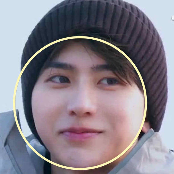 蔡徐坤冬梦之约播出200斤猪咪在雪地里一秒变身憨憨小企鹅